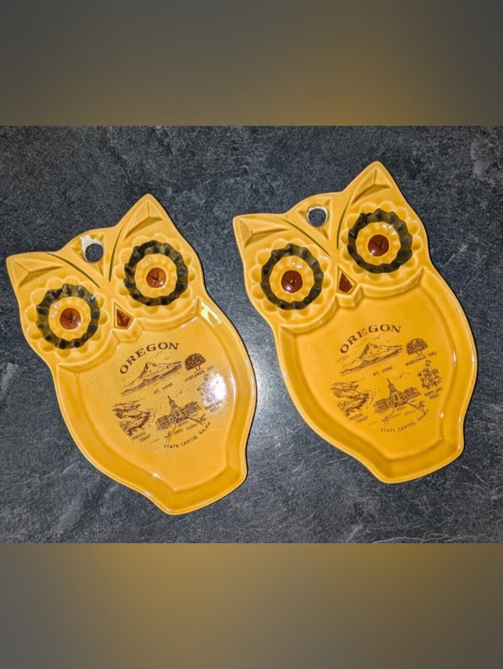 Two Owl Ceramic Spoon Rest Tray Trivet Wall Hanging OREGON Oregon Souvenir